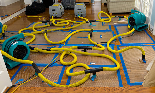Professional Structural Drying And Dehumidification technician working in Salem, NJ